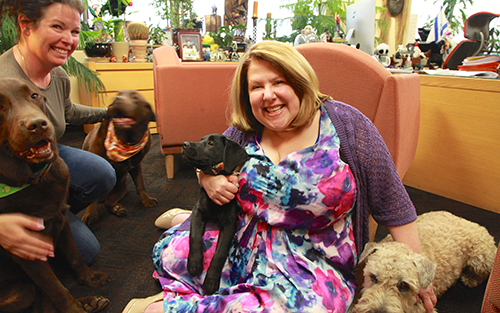 Difficile de regrouper toute la meute pour une photo!